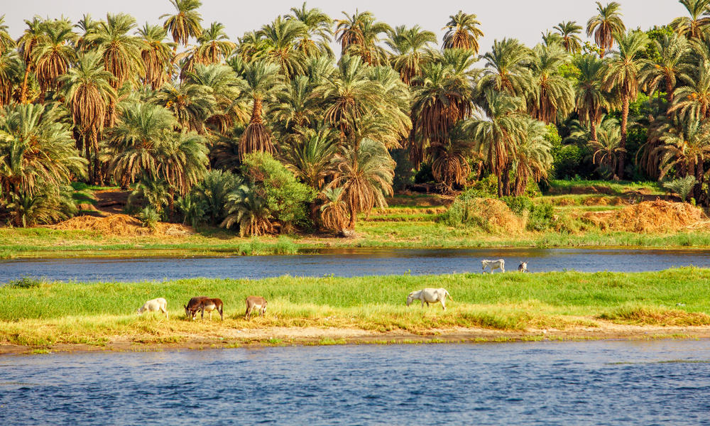 adobestock 143104319 nile approved